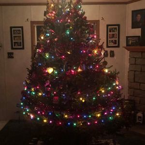 Meet your Posher, Dylan